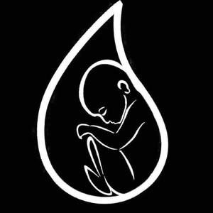 Meet your Posher, Lillian